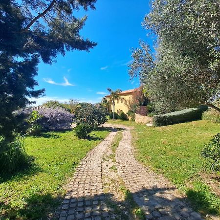 Rez De Jardin Villa Presqu'Ile De Giens Hyeres Luaran gambar