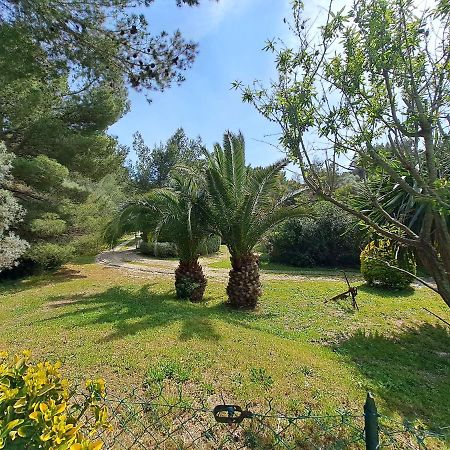 Rez De Jardin Villa Presqu'Ile De Giens Hyeres Luaran gambar